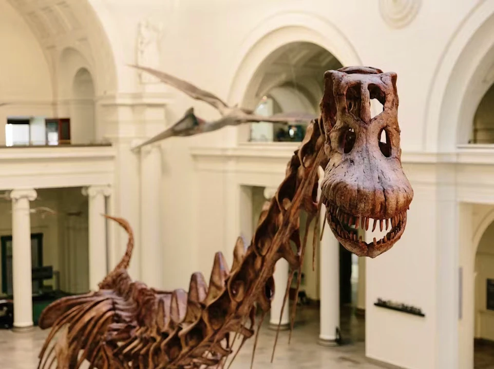 The Field Museum of Natural History Ticket + The Art Institute of Chicago